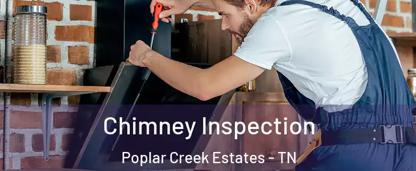 Chimney Inspection Poplar Creek Estates - TN