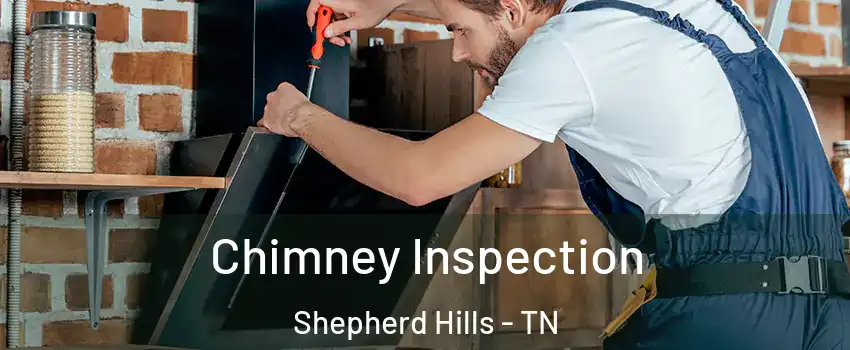 Chimney Inspection Shepherd Hills - TN