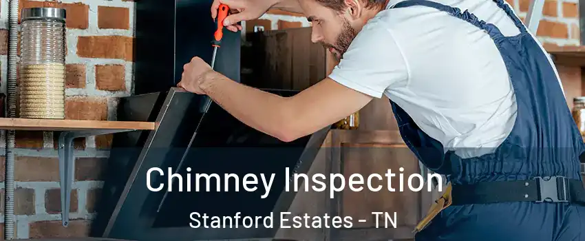 Chimney Inspection Stanford Estates - TN