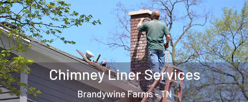 Chimney Liner Services Brandywine Farms - TN
