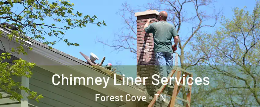 Chimney Liner Services Forest Cove - TN
