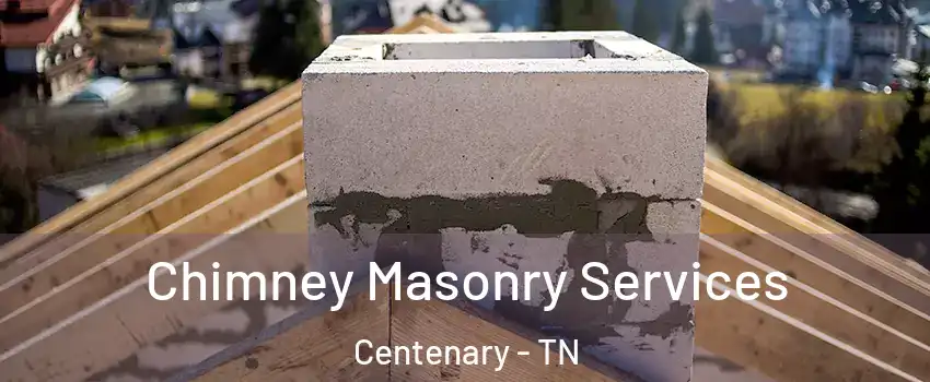 Chimney Masonry Services Centenary - TN