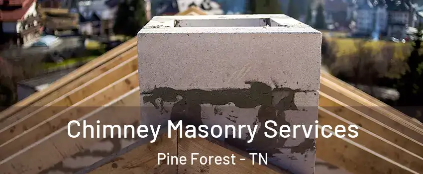 Chimney Masonry Services Pine Forest - TN