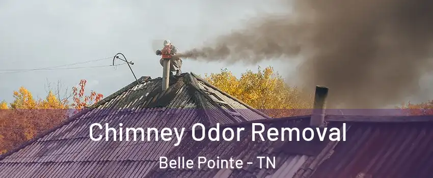 Chimney Odor Removal Belle Pointe - TN