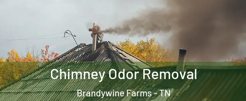 Chimney Odor Removal Brandywine Farms - TN