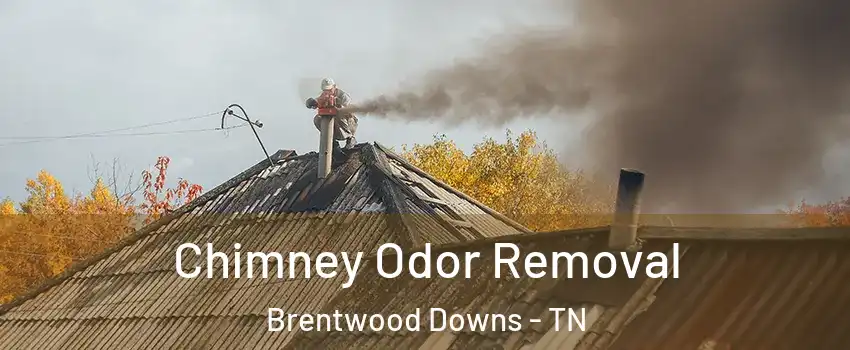 Chimney Odor Removal Brentwood Downs - TN