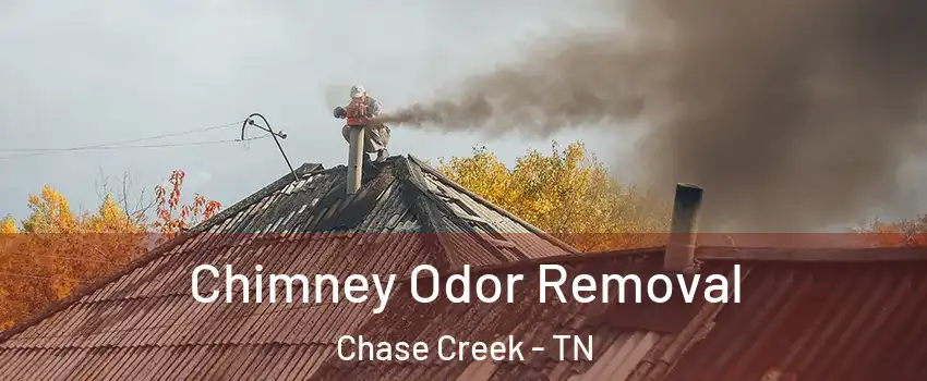Chimney Odor Removal Chase Creek - TN