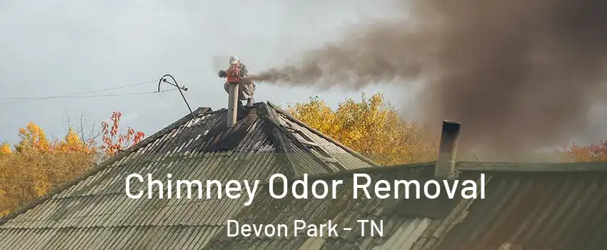 Chimney Odor Removal Devon Park - TN