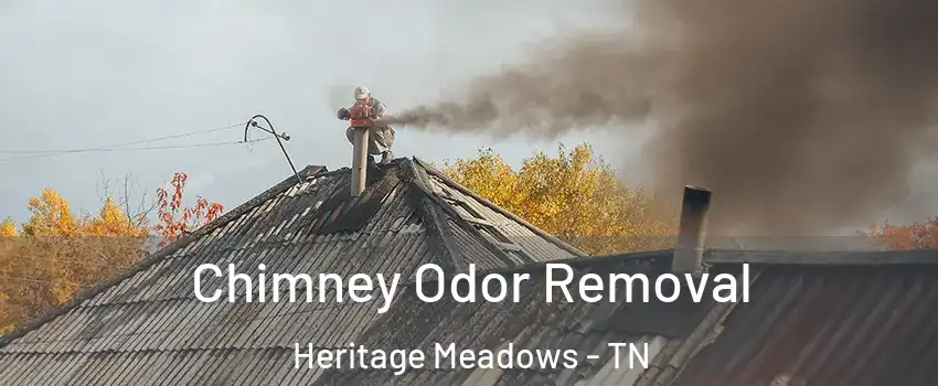 Chimney Odor Removal Heritage Meadows - TN