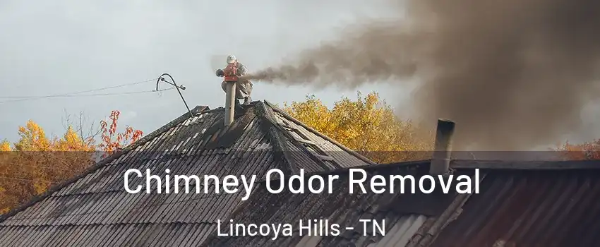 Chimney Odor Removal Lincoya Hills - TN