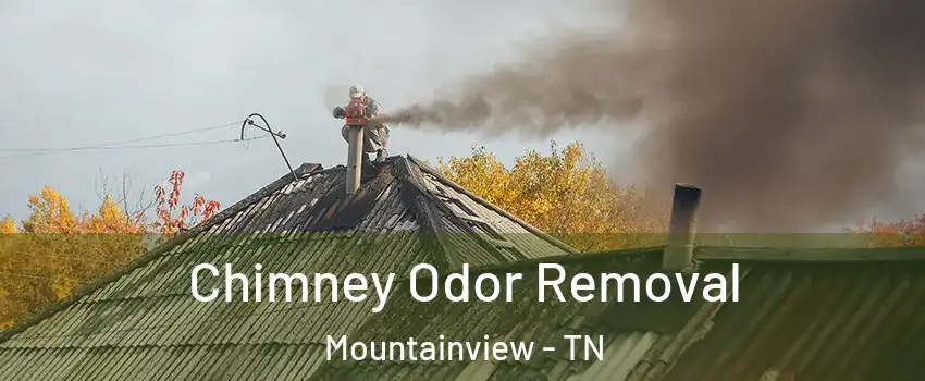 Chimney Odor Removal Mountainview - TN