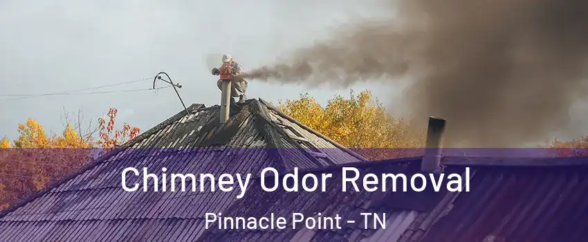 Chimney Odor Removal Pinnacle Point - TN