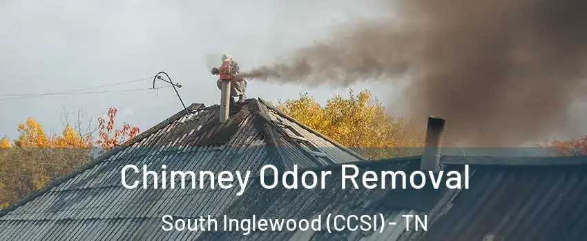 Chimney Odor Removal South Inglewood (CCSI) - TN