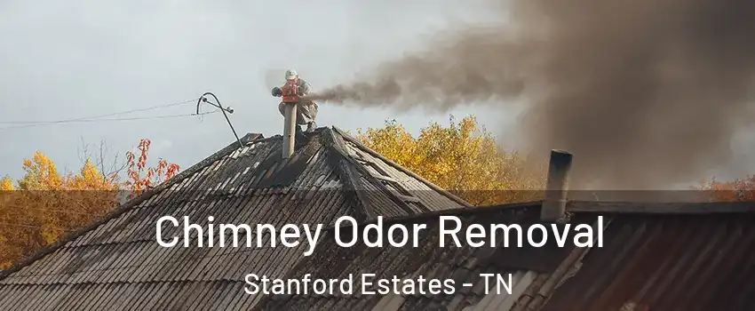 Chimney Odor Removal Stanford Estates - TN