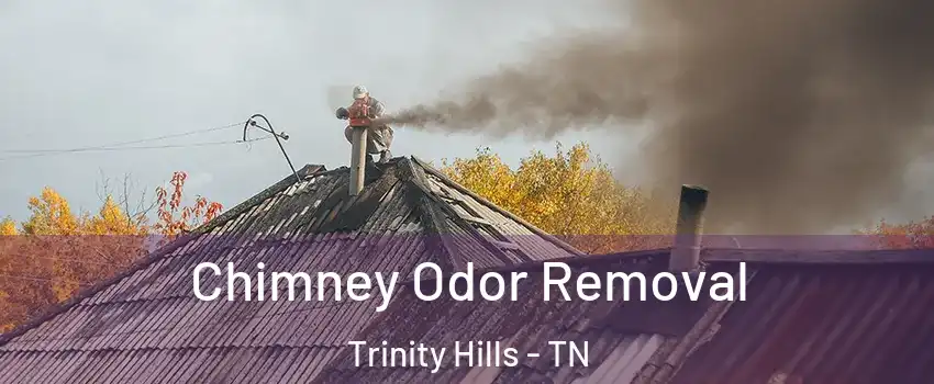 Chimney Odor Removal Trinity Hills - TN