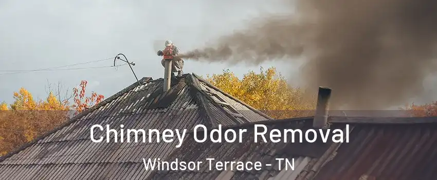 Chimney Odor Removal Windsor Terrace - TN