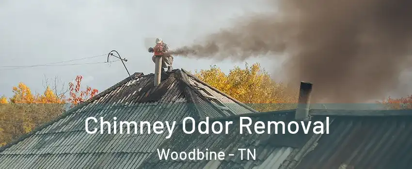 Chimney Odor Removal Woodbine - TN