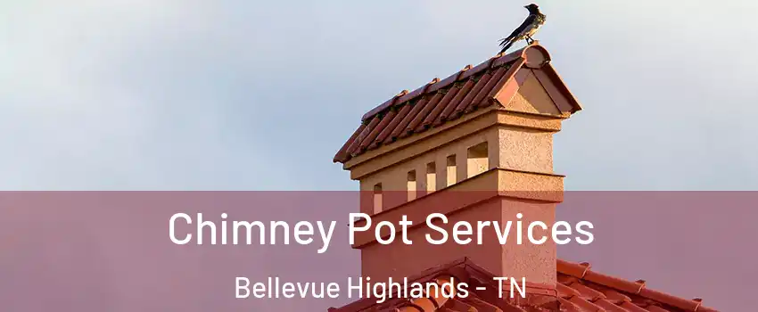Chimney Pot Services Bellevue Highlands - TN