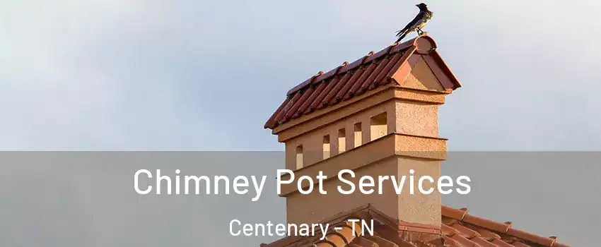 Chimney Pot Services Centenary - TN