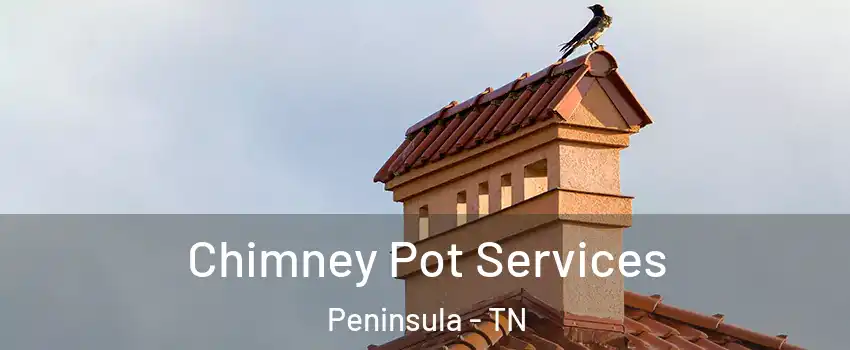 Chimney Pot Services Peninsula - TN