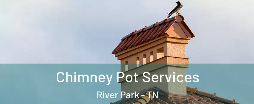 Chimney Pot Services River Park - TN