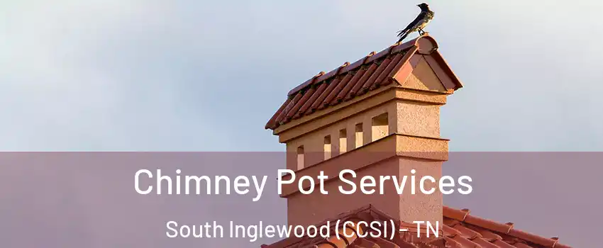 Chimney Pot Services South Inglewood (CCSI) - TN