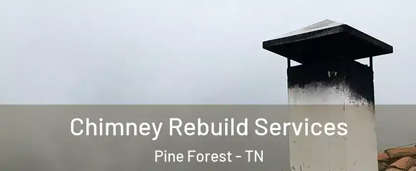 Chimney Rebuild Services Pine Forest - TN