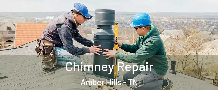 Chimney Repair Amber Hills - TN