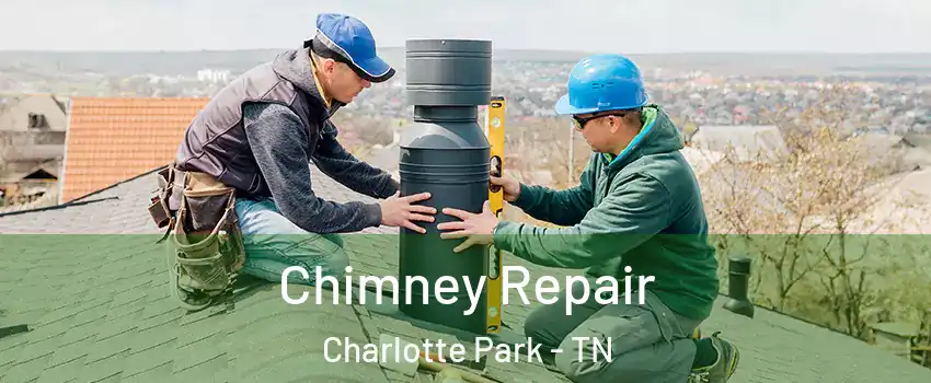 Chimney Repair Charlotte Park - TN