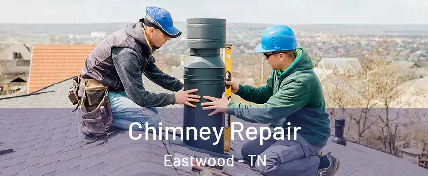 Chimney Repair Eastwood - TN