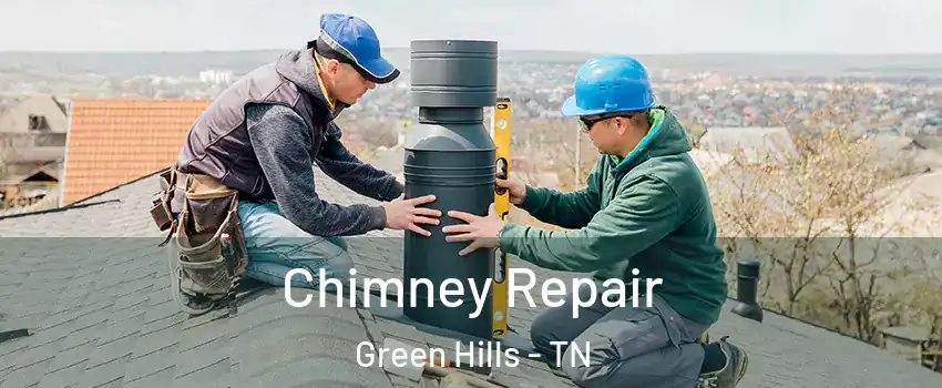 Chimney Repair Green Hills - TN