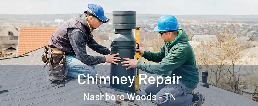 Chimney Repair Nashboro Woods - TN