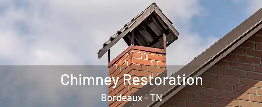 Chimney Restoration Bordeaux - TN