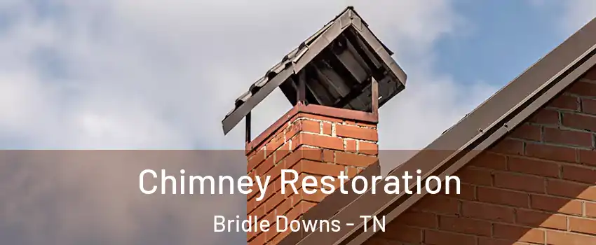 Chimney Restoration Bridle Downs - TN
