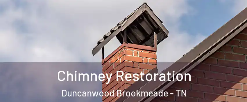 Chimney Restoration Duncanwood Brookmeade - TN