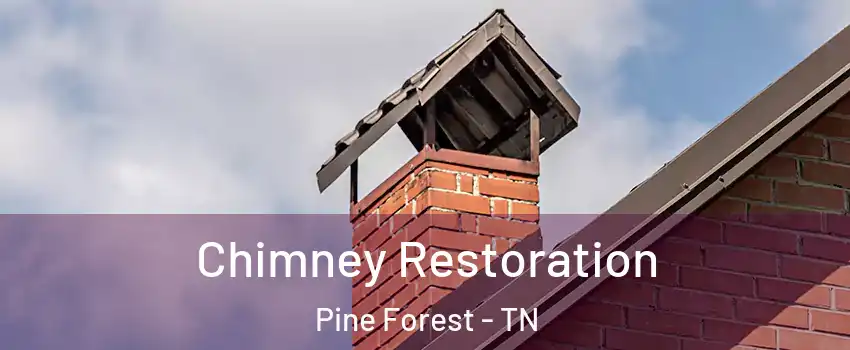Chimney Restoration Pine Forest - TN