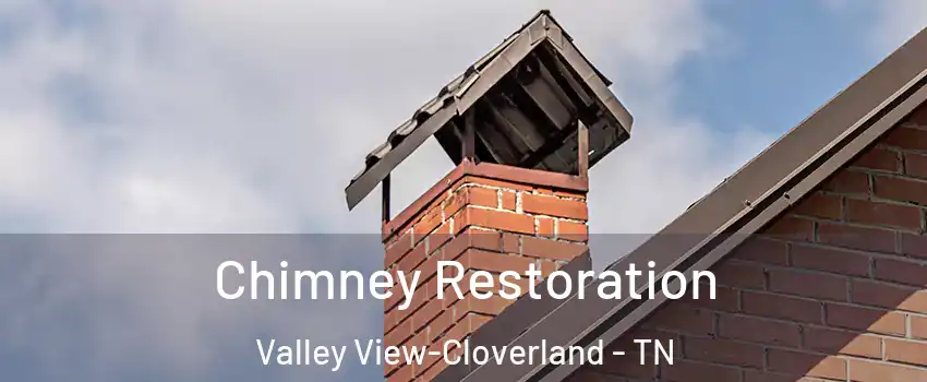 Chimney Restoration Valley View-Cloverland - TN