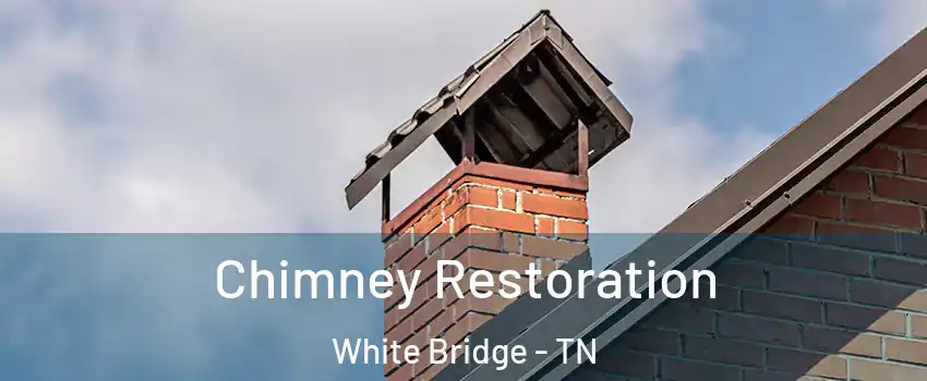 Chimney Restoration White Bridge - TN