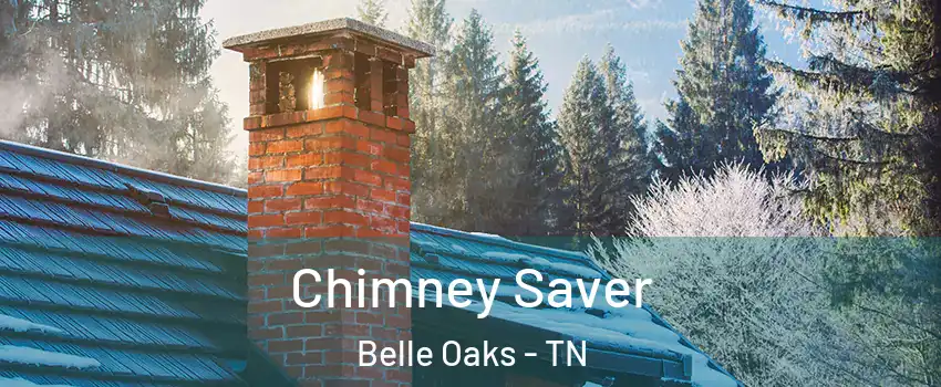 Chimney Saver Belle Oaks - TN