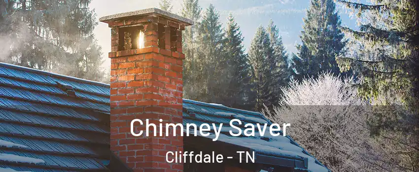 Chimney Saver Cliffdale - TN