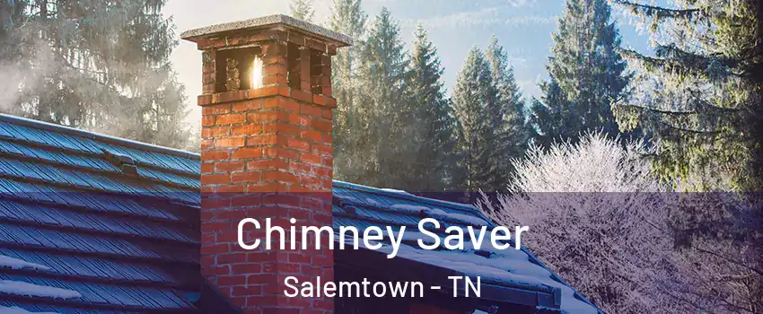 Chimney Saver Salemtown - TN