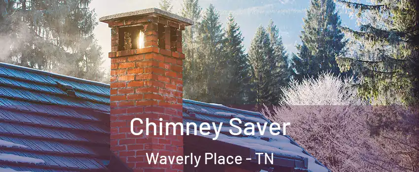 Chimney Saver Waverly Place - TN