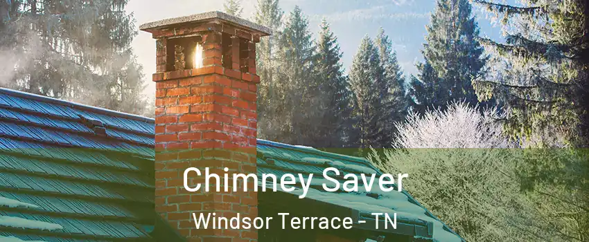 Chimney Saver Windsor Terrace - TN