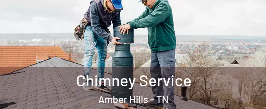 Chimney Service Amber Hills - TN