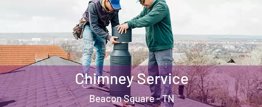 Chimney Service Beacon Square - TN