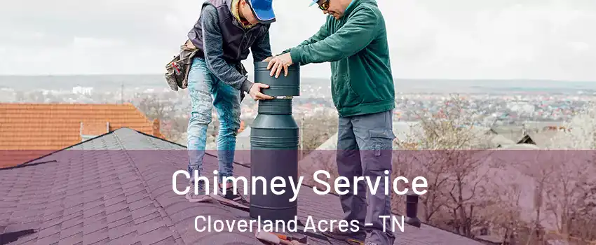 Chimney Service Cloverland Acres - TN