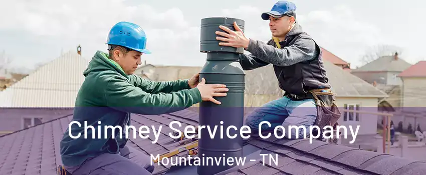 Chimney Service Company Mountainview - TN