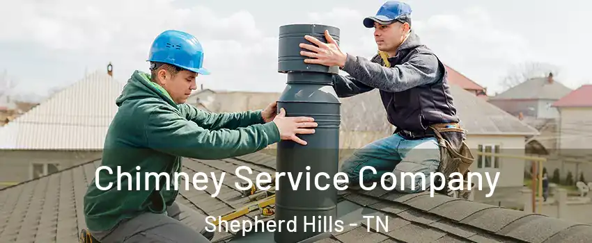 Chimney Service Company Shepherd Hills - TN