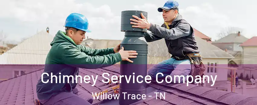Chimney Service Company Willow Trace - TN