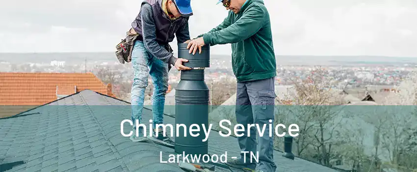 Chimney Service Larkwood - TN